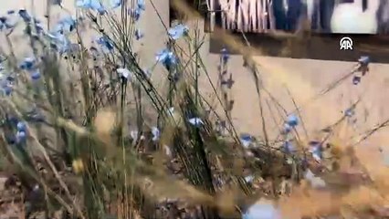 Türkiye'nin ilk keten müzesi  ziyaretçilerini büyülüyor