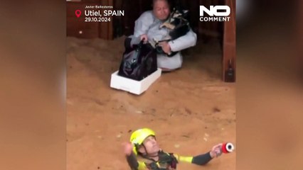 لحظة إنسانية.. هليكوبتر تنقذ امرأة مع كلبها وقططها من فيضانات فالنسيا