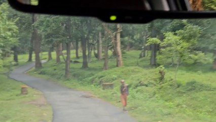 Travel throw kerala wayanad a beautiful place to visit. #travel #food #kerala