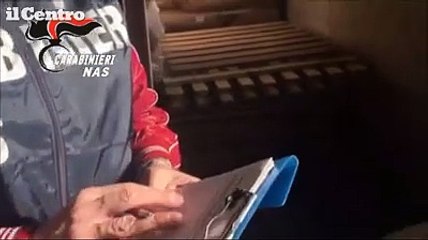 Mangimifici e macelli da incubo: locali non idonei, topi ed escrementi in Abruzzo