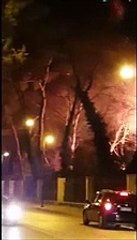 Pescara, in fiamme nella notte la Pineta Dannunziana