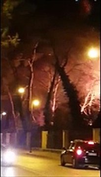 Pescara, in fiamme nella notte la Pineta Dannunziana