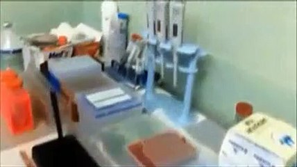 Teramo, ecco l'ospedale veterinario che cura mille animali l'anno