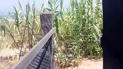 Abruzzo, 100 km di spiagge libere ma gli accessi non si trovano