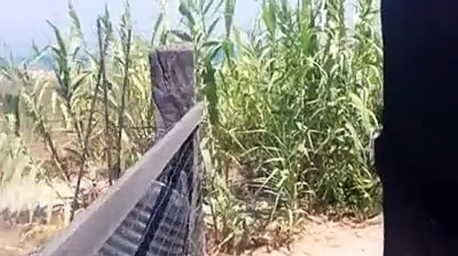 Abruzzo, 100 km di spiagge libere ma gli accessi non si trovano