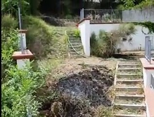 Montesilvano, ecco da dove ? partito l'incendio che ha minacciato le case