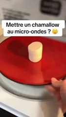 Mettre un chamallow au micro ondes ?