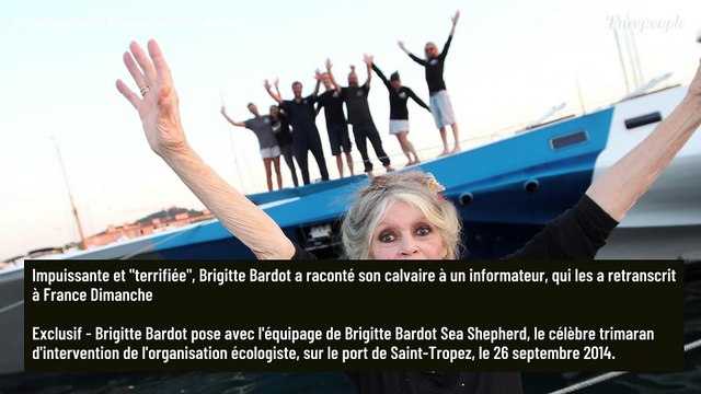Brigitte Bardot : Son refuge de la Madrague endommagé, je n'avais jamais vu ça