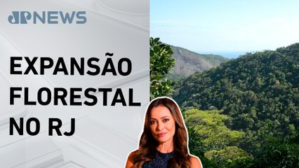 Rio de Janeiro é o único estado do Brasil a ganhar área de floresta; Patrícia Costa analisa