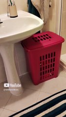 Envie para aquela pessoa que não sabe colocar roupa no cesto . Nível de dificuldade_ Fáci d+ #shorts