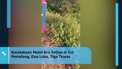 Kecelakaan Mobil Kru TvOne di Tol Pemalang, Dua Luka, Tiga Tewas