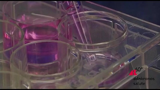 Si amplia a Trento la Campagna vaccinale gratuita anti Hpv, quasi 100.000 le persone coinvolte nei prossimi 3- 4 anni