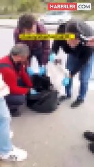 Çöp konteynırına atılmış onlarca ölü kedi bulundu