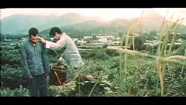 ⭐Las garras del tigre (Películas de Artes Marciales) ESPAÑOL