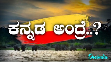 ಕರ್ನಾಟಕ ರಾಜ್ಯೋತ್ಸವದ ಹಬ್ಬ - ಕನ್ನಡ ನಾಡಿನ ವೈಭವವನ್ನು ಆರಾಧಿಸುವ ಕ್ಷಣ