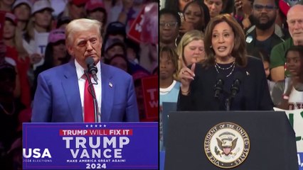 Trump vagy Harris? Az Euronews két EP-képviselőt kérdezett