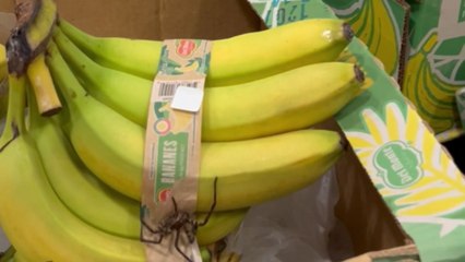 Shopper at Costco stumbles upon a banana spider resting on bananas