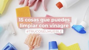 10 usos sorprendentes del VINAGRE para el cuidado de tus PLANTAS de interior