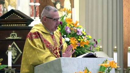 Santa Misa - 01-11-24 - Catedral Metropolitana