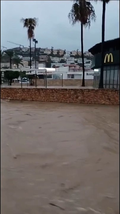 La DAN en Calvià