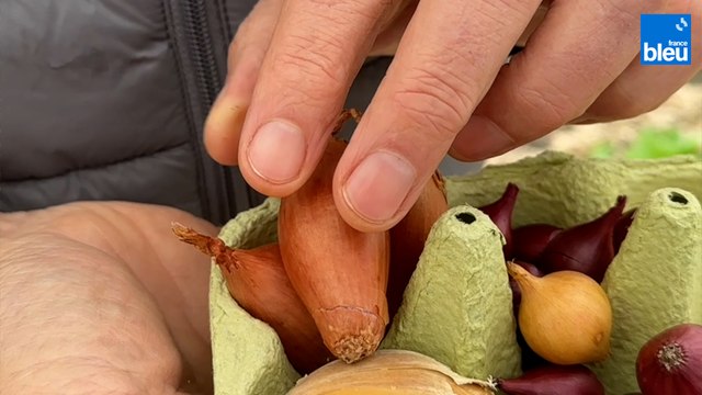 Roland Motte, jardinier : plantez des épices, ails, oignons, échalotes