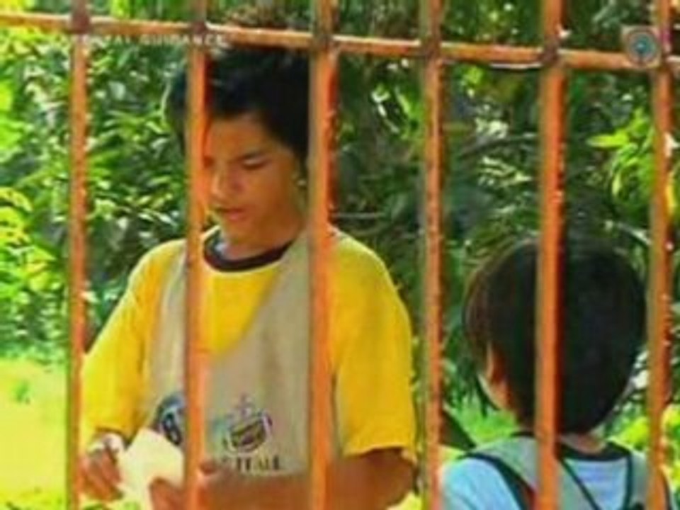 KUNG FU KIDS ABS-CBN