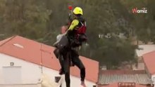 Drammatico salvataggio a Valencia: la donna che non ha abbandonato i suoi gatti e il cane intrappolati