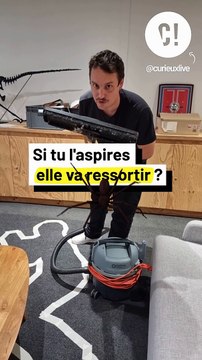 Arrêtez d'aspirer les araignées pour les enlever de votre maison !