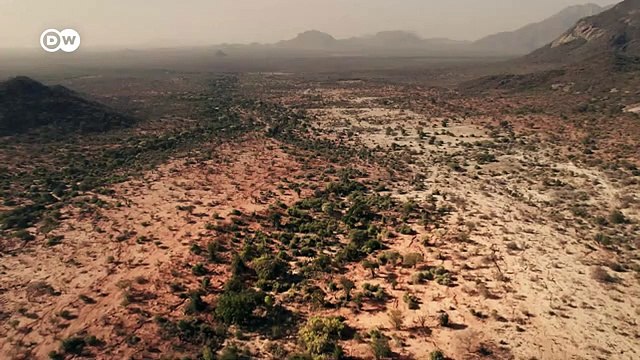 Rescuing orphaned baby elephants in Kenya | DW Documentary DW Documentary