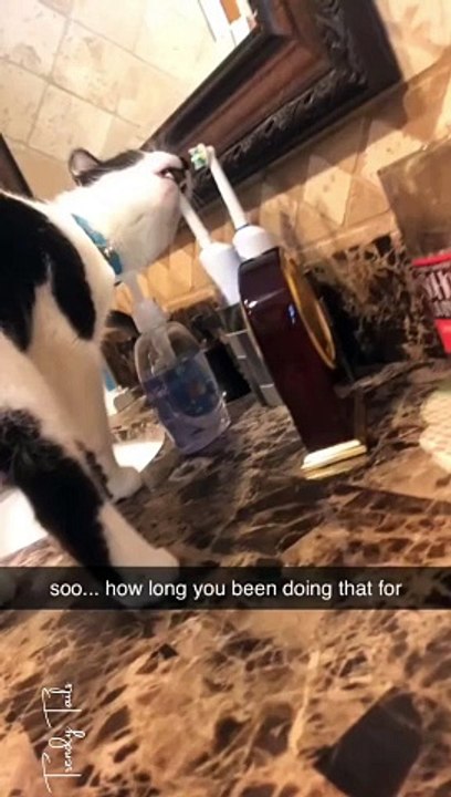 Get Him His Own Toothbrush