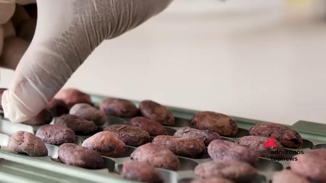 Vanini compie 10 anni celebrando l’amore per i viaggi nel cuore del cacao