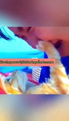 The most popular compilations from Cute Kittens