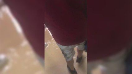 Entran a las 8 a clase y a la media hora este colegio de Castellón ya está inundado: "Ven a por mí, mama"