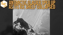 Antarctic Glacier Sped-Up -  As Its Ice Shelf Caved-In