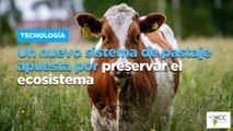 Un nuevo sistema de pastaje apuesta por preservar el ecosistema