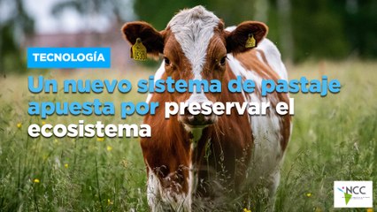 Un nuevo sistema de pastaje apuesta por preservar el ecosistema