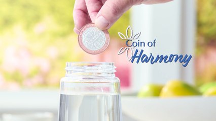 Harmony Water Purifying Coin – Clean & Safe Drinking Water 💧