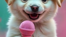 A dog sings.