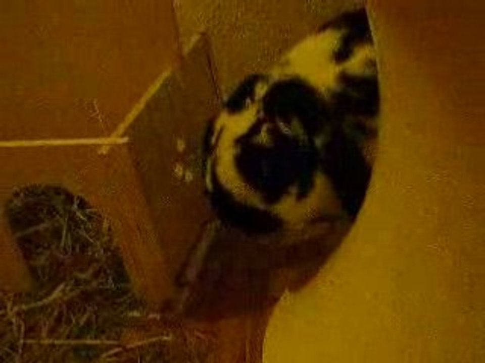 La sortie au bout du tunnel...