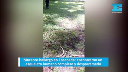 Macabro hallazgo en Ensenada: encontraron un esqueleto humano completo y desparramado