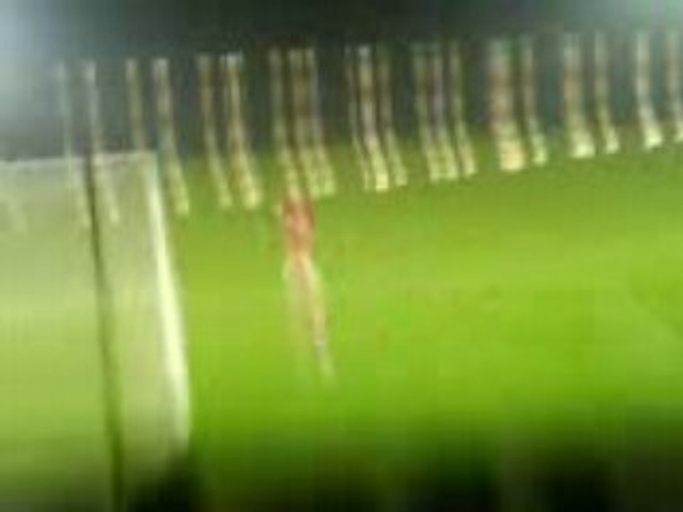 Hac Sedan ambiance kop et harfleur