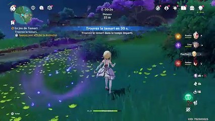 Genshin Impact Le Jeu de Temari