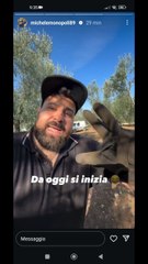 da oggi si inizia raccolta olive