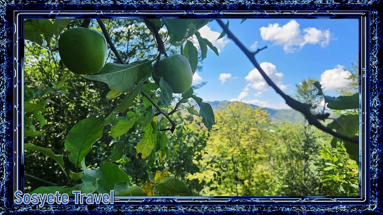 Seyahat Rotaları Gezilecek Yerler