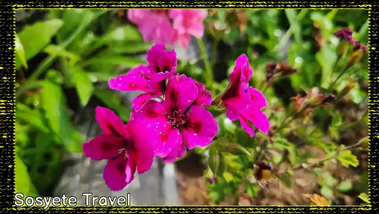 Gezilecek Yerler ve Gezi Rehberi