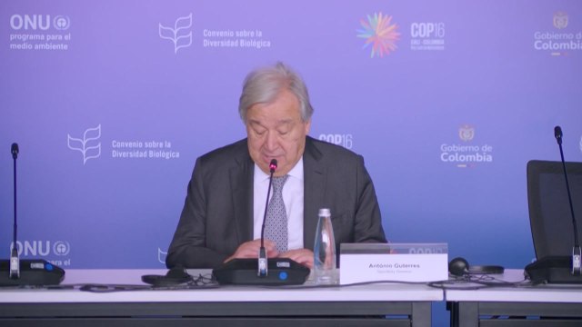 유엔총장, 이스라엘 가자지구 공격에 인종청소 막아야 경고 / YTN