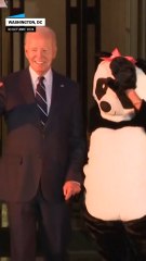 Joe y Jill Biden reparten dulces por Halloween