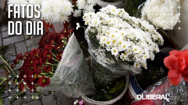 Flores ficam mais caras perto do Dia de Finados em Belém