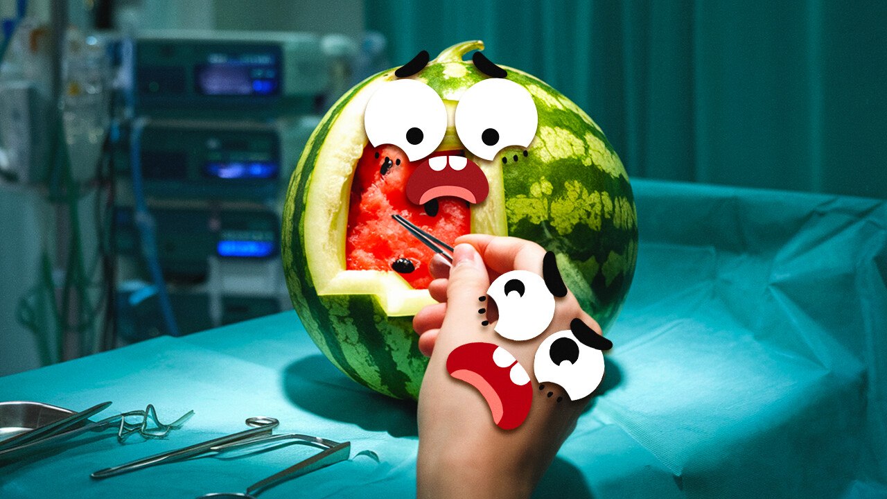 Crazy Situations and Pranks from the Life of Doodles