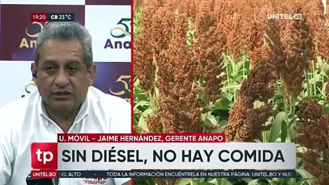 Agro recibe solo el 50% del diésel que necesita para producir granos, según Anapo